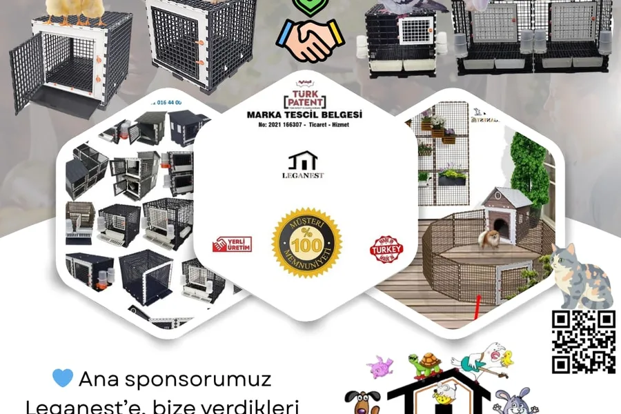 ANA SPONSOR