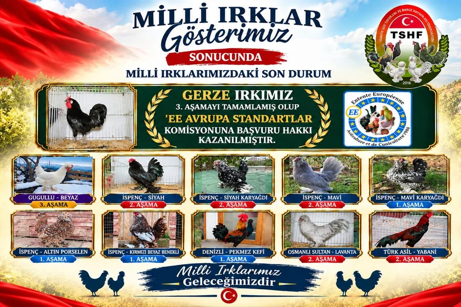 Milli ırklarımızdaki son durum