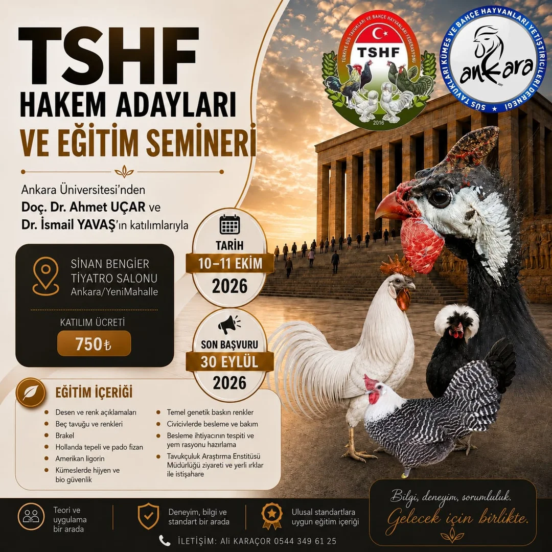 Ankara Semineri