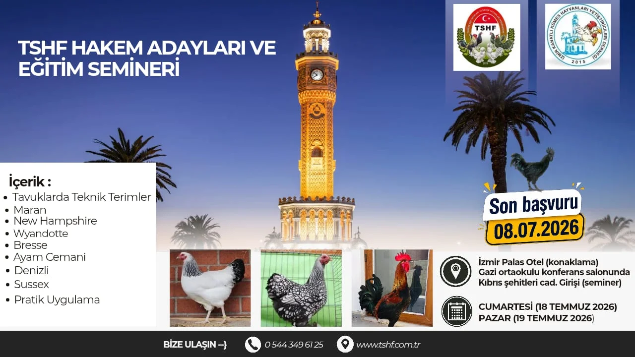 Hakem Asistanlığı ve Eğitim semineri İZMİR