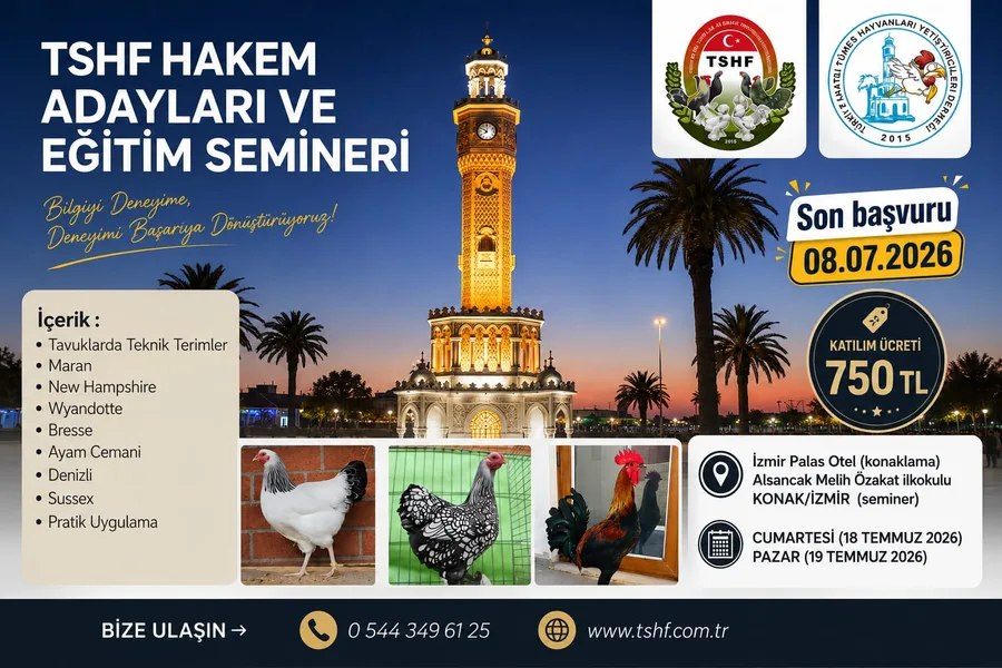 İzmir Hakem Asistanlığı ve Eğitim Semineri