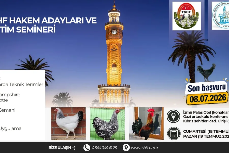 İzmir Hakem Asistanlığı ve Eğitim Semineri