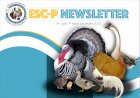 EE STANDARTLAR KOMİSYONU ESC-P NEWSLETTER (Türkçe çeviri)