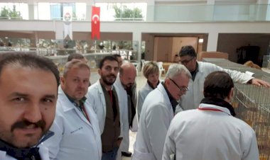 Hakemlik ve Eğitim Seminerleri meyvelerini veriyor
