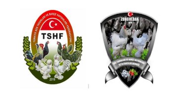 Aramıza Hoş Geldin