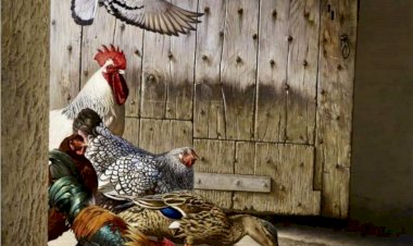 I. Uluslararası Alternatif Kümes Hayvanları ve Süs Kuşları Kongresi (DOÇ. Dr. Demir ÖZDEMİR)