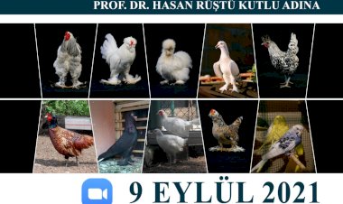 DUYURU!!!!         TÜRKİYE HOBİ - SÜS KUŞLARI ÇALIŞTAYI