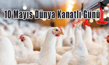 10 Mayıs Dünya Kanatlı Günü