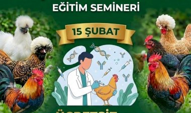 Süs Tavukları Yetiştiriciliği ve Sağlığı: Ücretsiz Çevrim İçi Eğitim Semineri!