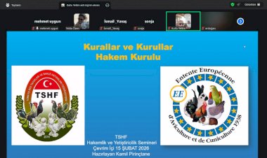 Düzenlemiş olduğumuz Süs Tavuğu çevrim içi eğitim programımız, yüksek düzeyde memnuniyet ve olumlu geri bildirimlerle başarıyla tamamlanmıştır. Katılımcı tüm üreticilere ve eğitmenlerimize teşekkürlerimizi sunarız.