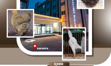 TSHF HAKEM ADAYLARI ve EĞİTİM SEMİNER PROGRAMI  25/26 NİSAN 2026 SAKARYA