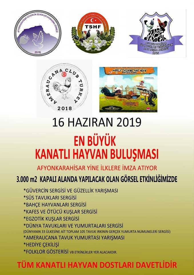 En Büyük Kanatlı Hayvan Sergisi Afyonkarahisar'da gerçekleşiyor.
