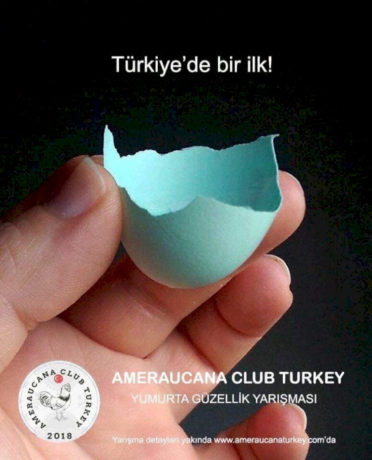 En Büyük Kanatlı Hayvan Sergisi Afyonkarahisar'da gerçekleşiyor.