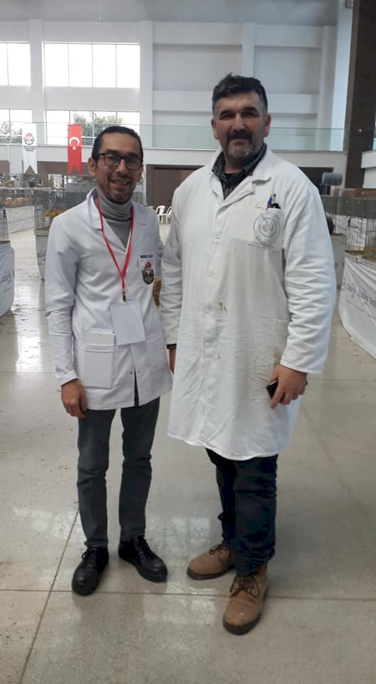 Hakemlik ve Eğitim Seminerleri meyvelerini veriyor