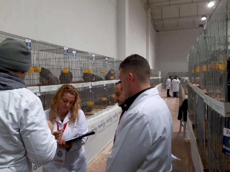 Hakemlik ve Eğitim Seminerleri meyvelerini veriyor
