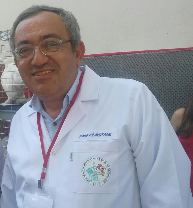 Hakemlik ve Eğitim Seminerleri meyvelerini veriyor