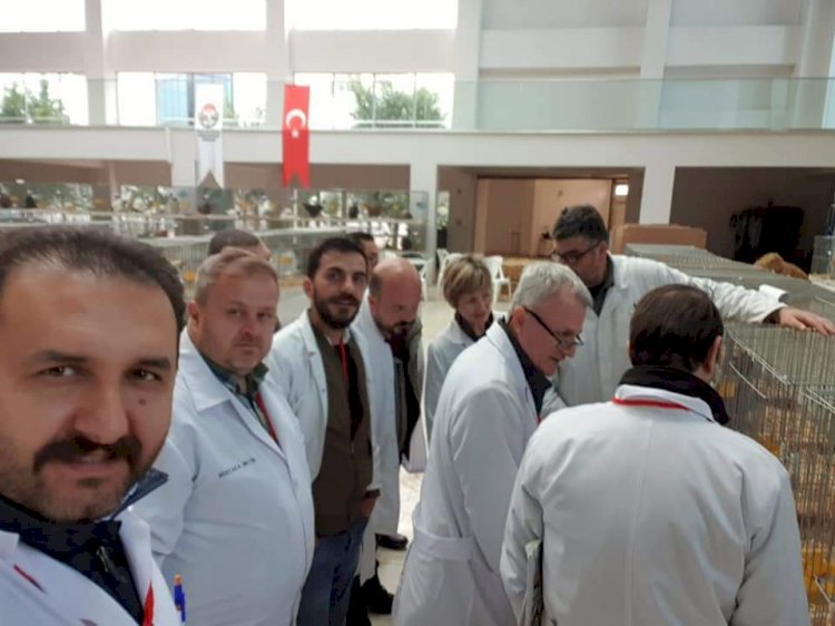 Hakemlik ve Eğitim Seminerleri meyvelerini veriyor