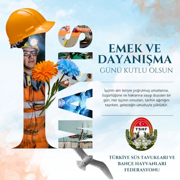 1 MAYIS EMEK VE DAYANIŞMA GÜNÜ