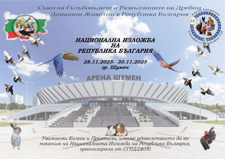 Etkinliğimize Davet...