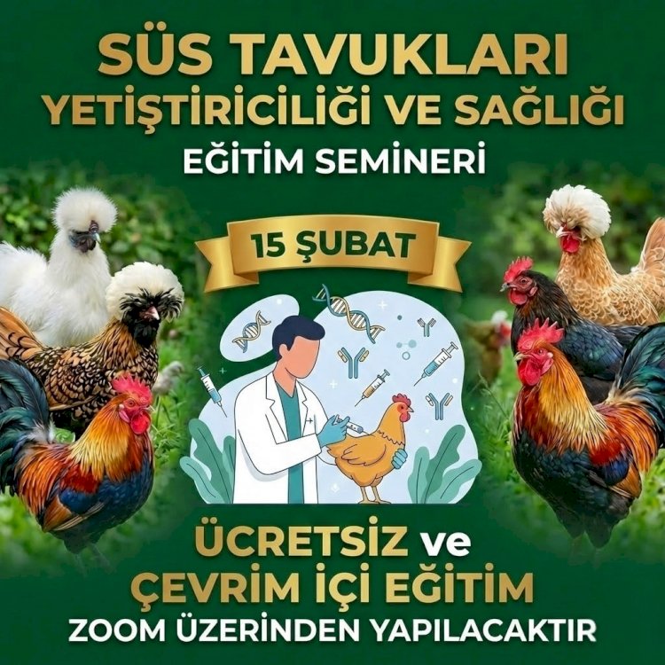 Süs Tavukları Yetiştiriciliği ve Sağlığı: Ücretsiz Çevrim İçi Eğitim Semineri!